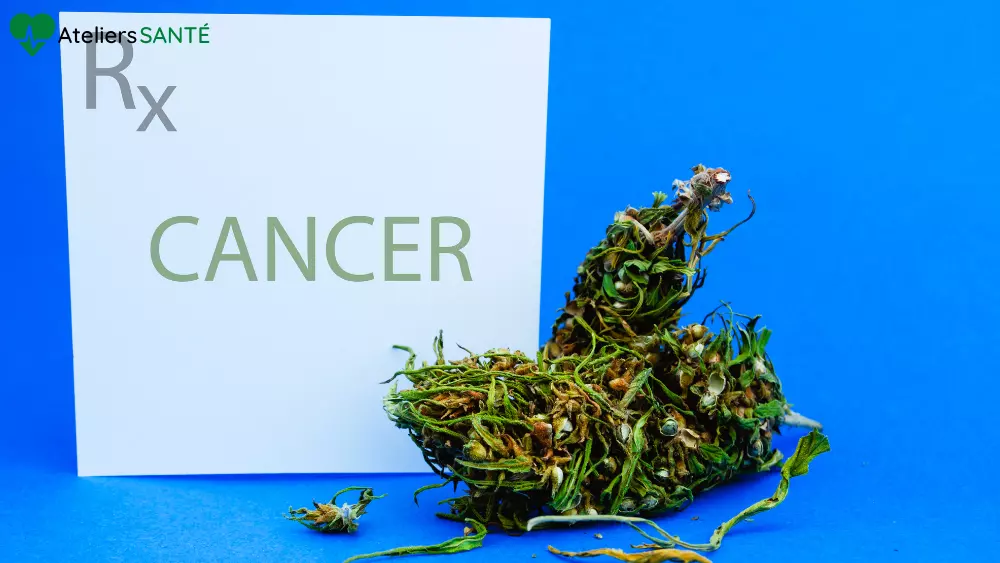 cbd et cancer